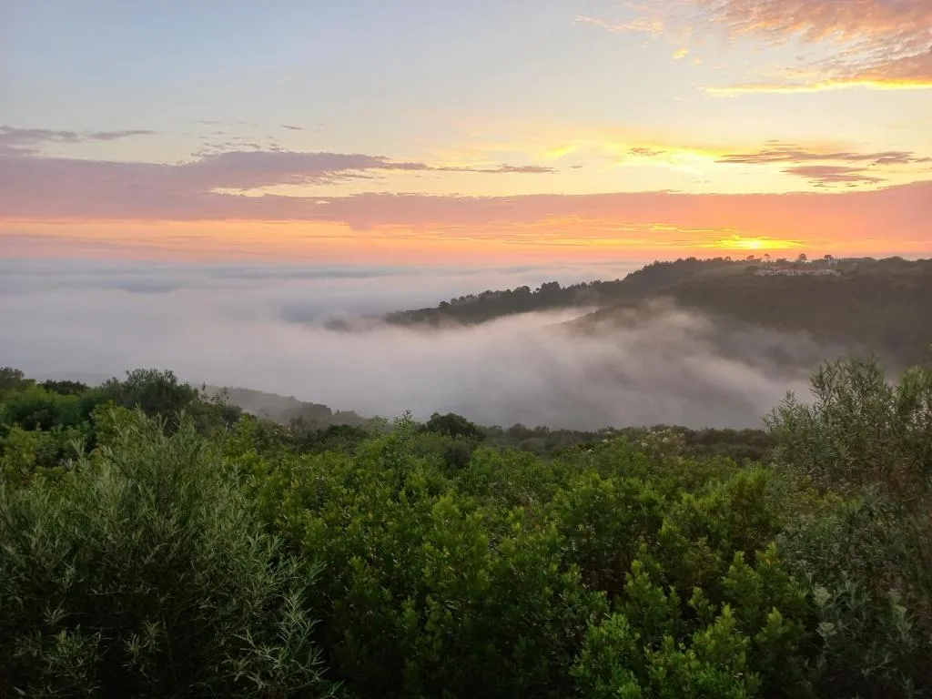 Sunrise over misty valley with forested hills and golden sky