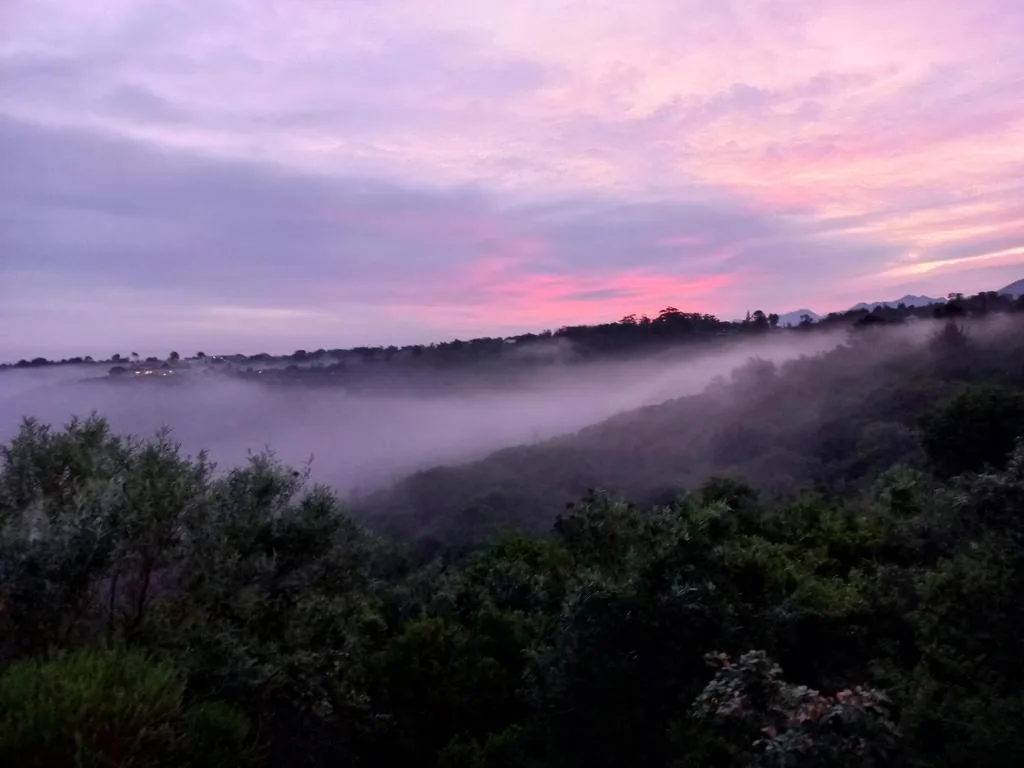 Misty valley landscape at sunrise with pink sky and distant mountains